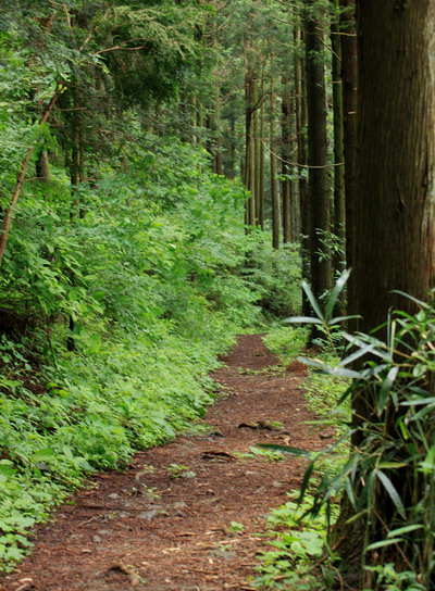 sokozawa20100714-013.jpg