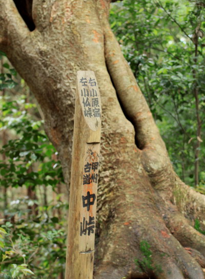 sokozawa20100714-014.jpg
