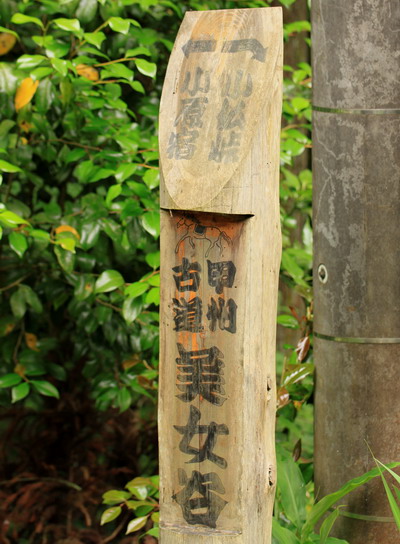 sokozawa20100714-017.jpg