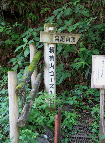 takao20110802-004.jpg