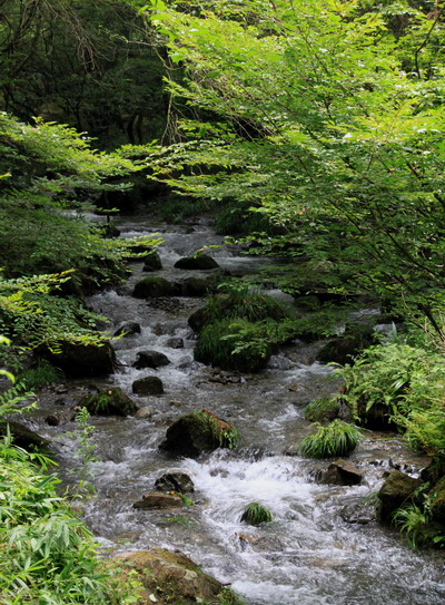 takao20110802-015.jpg