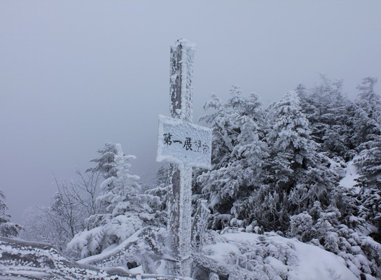 tengu20101227-001.jpg