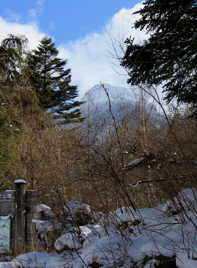 yatu20100126-001.jpg