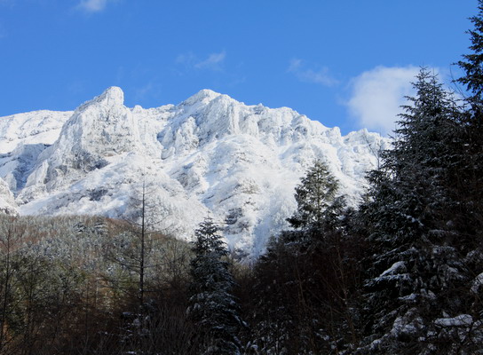 yatu20100126-004.jpg