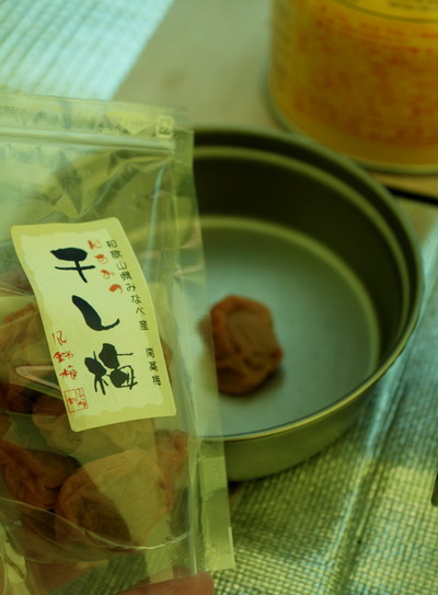 yatu20100128-008.jpg