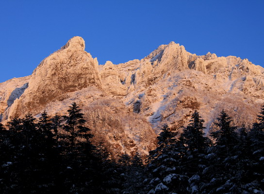 yatu20100210-001.jpg