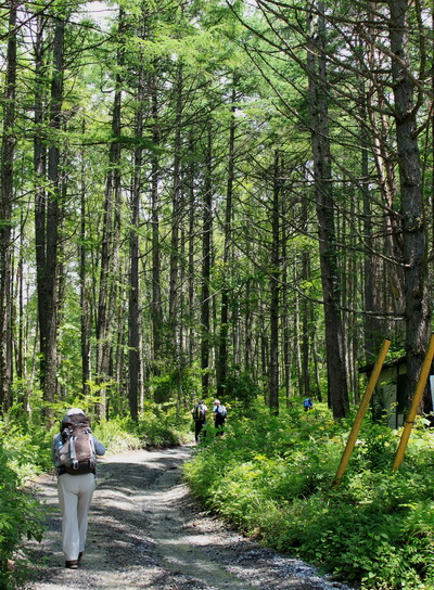 yatu20100717-002.jpg