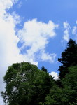 yatu20100717-005.jpg