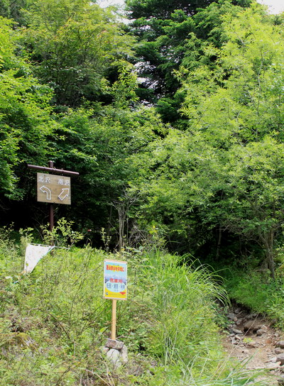 yatu20100717-006.jpg