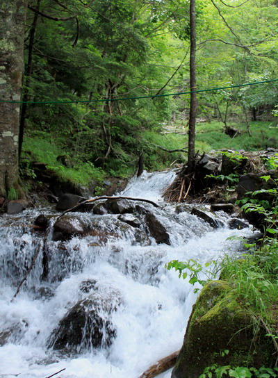 yatu20100717-007.jpg