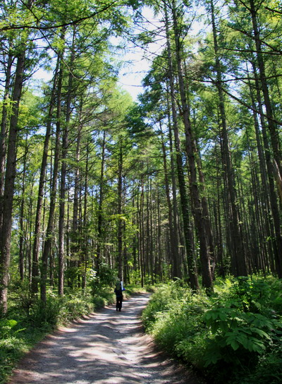 yatu20110716-002.jpg