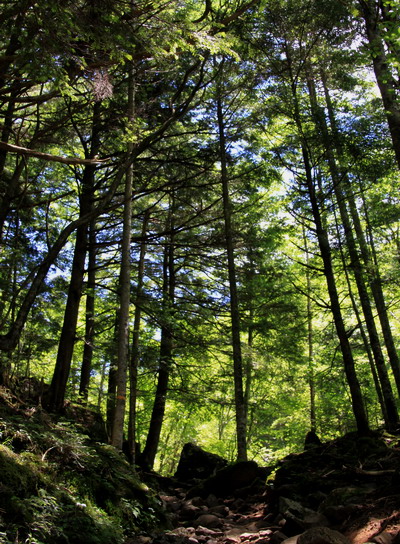 yatu20110716-006.jpg