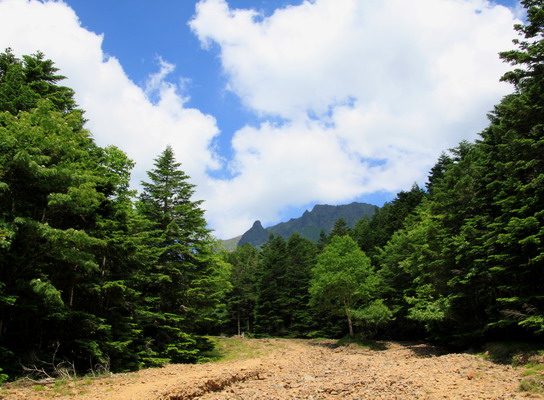 yatu20110716-007.jpg