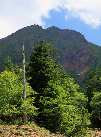 yatu20110716-008.jpg