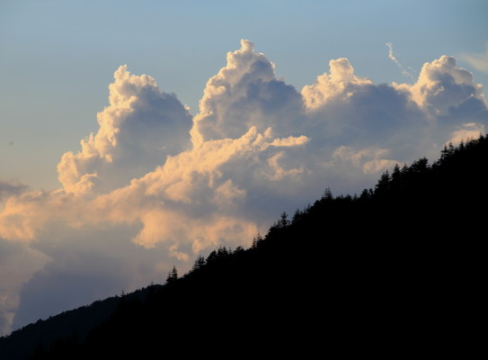 yatu20110716-105.jpg