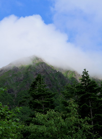 yatumeshi20100717-004.jpg