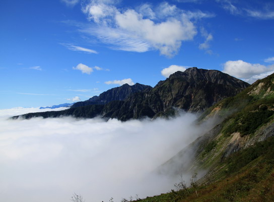 20110917karamatu-018.jpg