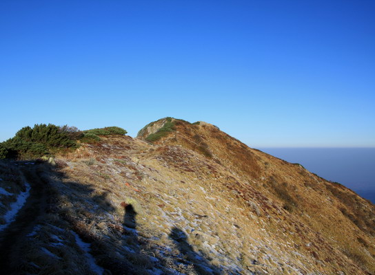 20111009dainichi-005.jpg