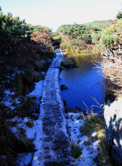 20111009dainichi-010.jpg