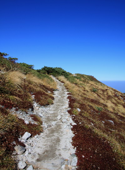 20111009dainichi-012.jpg