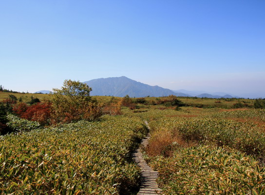 20111009dainichi-015.jpg