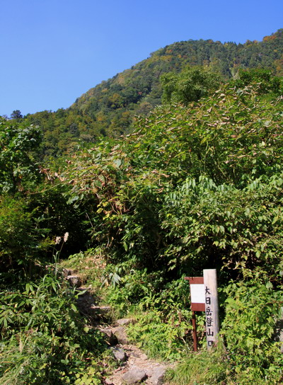 20111009dainichi-017.jpg