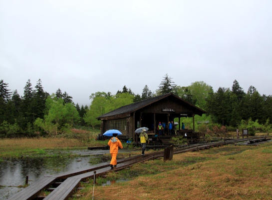 20120617ozenuma-007.jpg