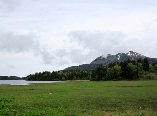 20120617ozenuma-017.jpg