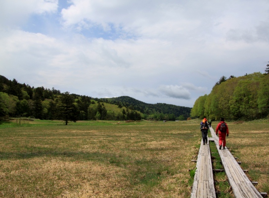 20120617ozenuma-021.jpg