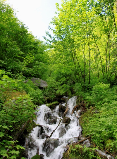 20120723kitadake-014.jpg