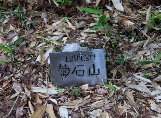 20120805tugami3-002.jpg