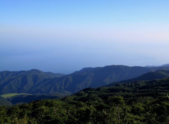 20120805tugami3-010.jpg