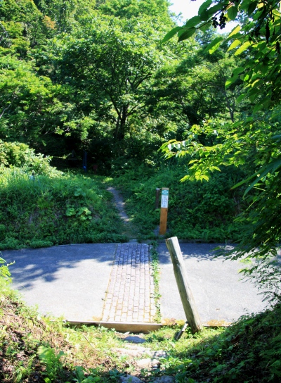 20120805tugami3-013.jpg