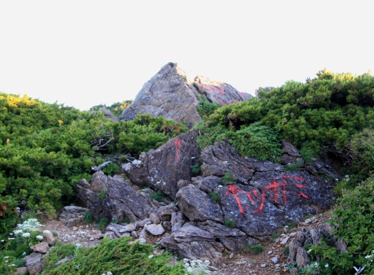20120810tugami2-006.jpg