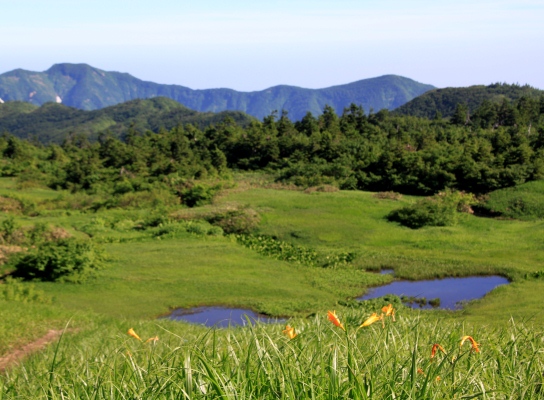 20120810tugami2-016.jpg