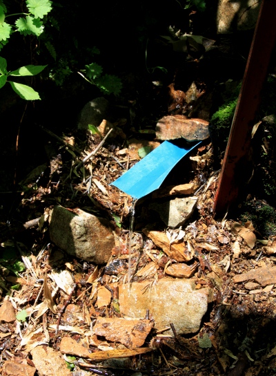 20120810tugami2-022.jpg