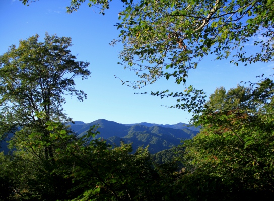 20120929aidukoma-006.jpg