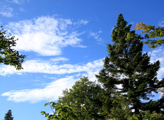 20120929aidukoma-008.jpg