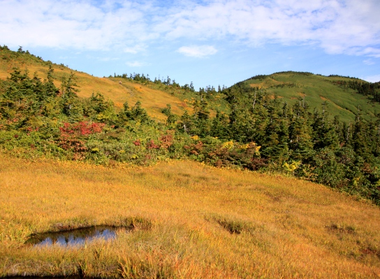 20120929aidukoma-010.jpg