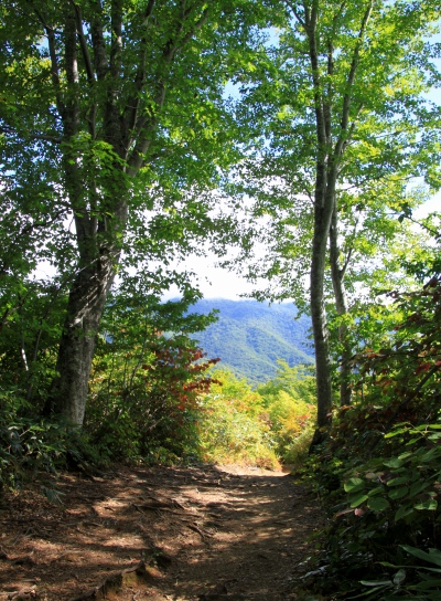 20120929aidukoma-037.jpg