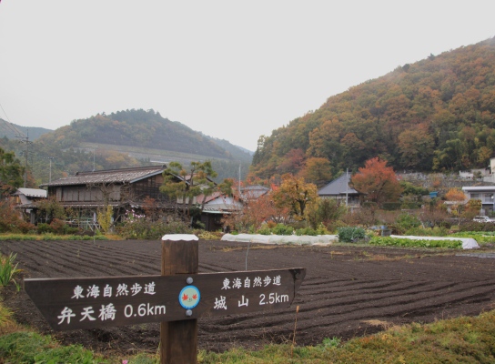20121124shiroyama-003.jpg