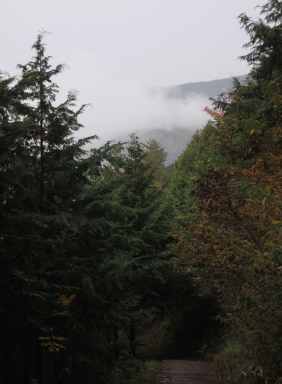 20121124shiroyama-005.jpg