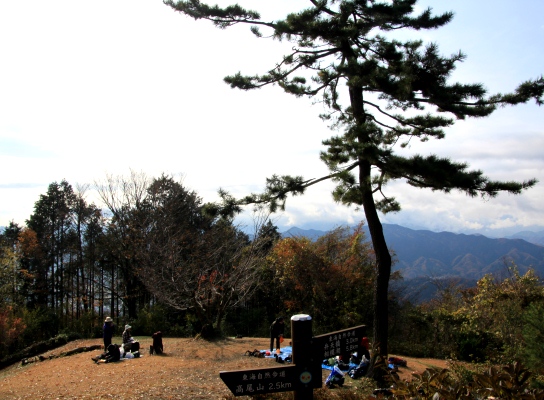 20121124shiroyama-012.jpg