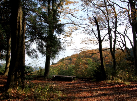 20121124shiroyama-013.jpg