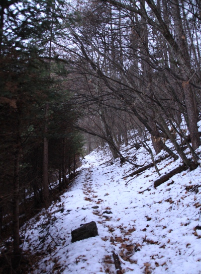 20121223tuetate-004.jpg