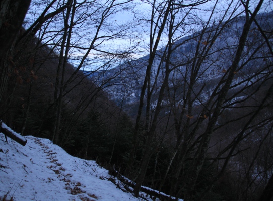 20121223tuetate-006.jpg