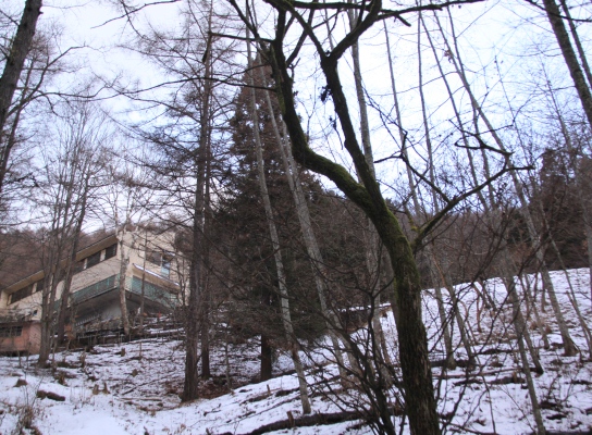 20121223tuetate-009.jpg