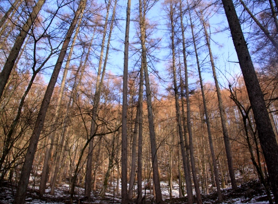 20121223tuetate-014.jpg