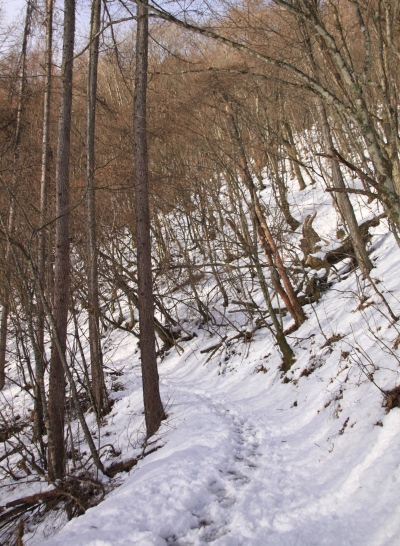20121223tuetate-015.jpg