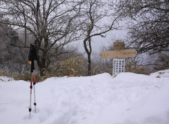 20121223tuetate-016.jpg